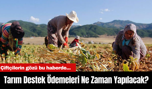 Tarım Destek Ödemeleri Ne Zaman Yapılacak? Çiftçilerin gözü bu haberde...