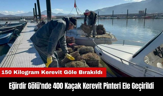 Eğirdir Gölü'nde 400 Kaçak Kerevit Pinteri Ele Geçirildi