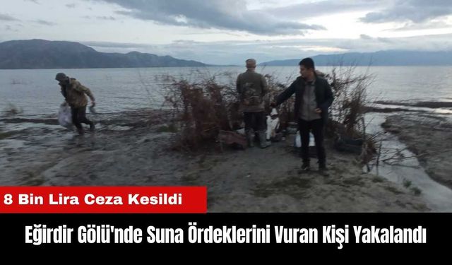 Eğirdir Gölü'nde Suna Ördeklerini Vuran Kişi Yakalandı