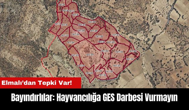 Elmalı'da Bayındırlılar İsyan Etti: Hayvancılığa GES Darbesi Vurmayın