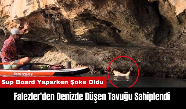 Falezler'de Sup Board Yaparken Denizde Bulduğu Tavuğu Sahiplendi