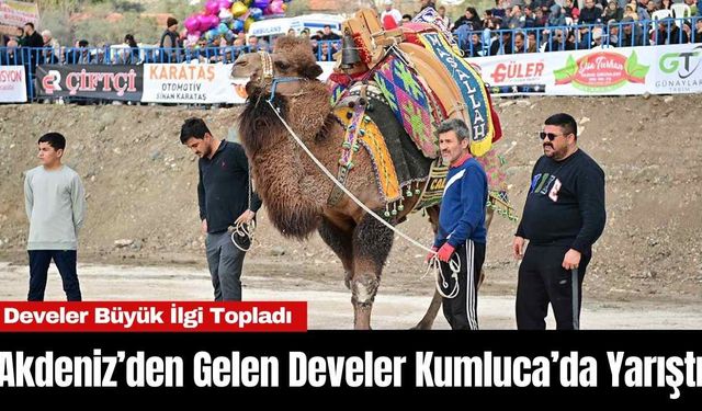 Akdeniz’den Gelen Develer Kumluca’da Yarıştı