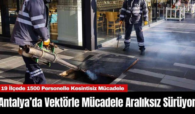 Antalya’da Vektörle Mücadele Aralıksız Sürüyor