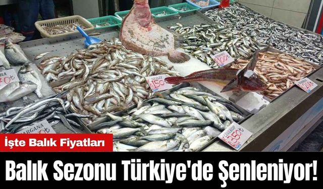 Balık Sezonu Türkiye'de Şenleniyor! İşte Balık Fiyatları