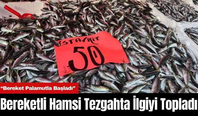 Bereketli Hamsi Tezgahta İlgiyi Topladı