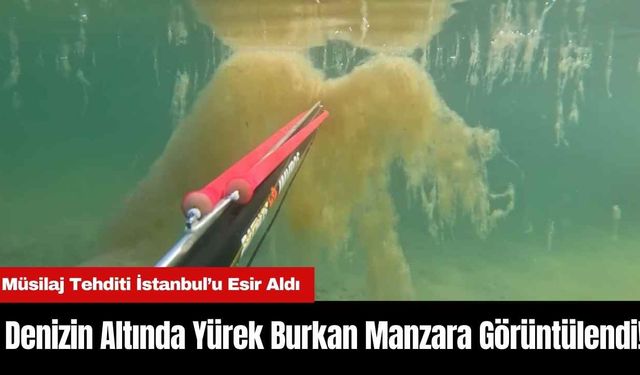 İstanbul’da Denizin Altında Yürek Burkan Manzara Görüntülendi!