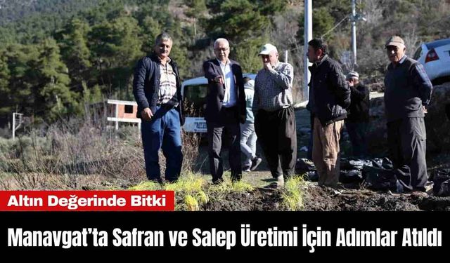 Manavgat’ta Safran ve Salep Üretimi İçin Adımlar Atıldı