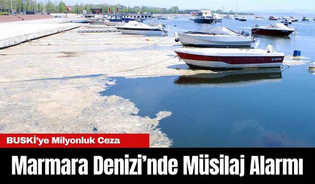 Marmara Denizi’nde Müsilaj Alarmı: BUSKİ’ye Milyonluk Ceza