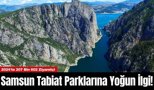 Samsun Tabiat Parklarına Yoğun İlgi! 2024'te 207 Bin 602 Ziyaretçi