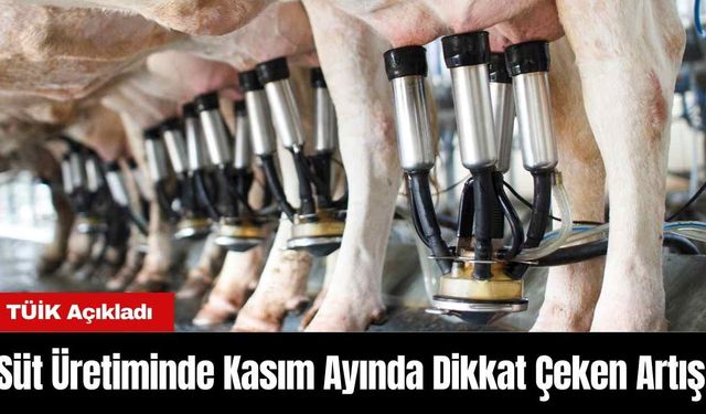 Süt Üretiminde Kasım Ayında Dikkat Çeken Artış