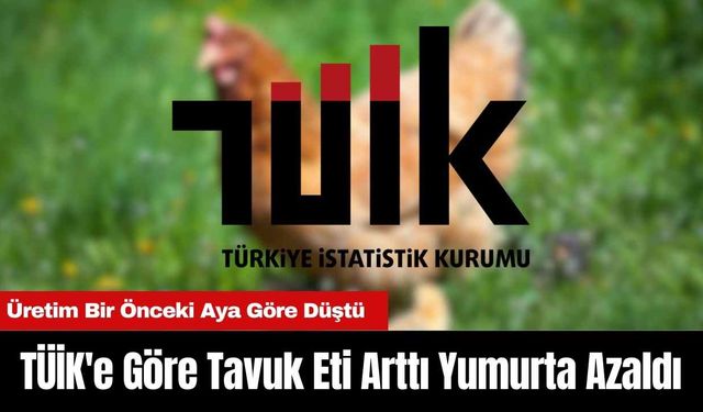 TÜİK'e Göre Tavuk Eti Arttı Yumurta Azaldı