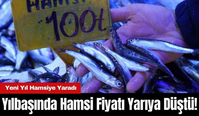 Yılbaşında Hamsi Fiyatı Yarıya Düştü! Yeni Yıl Hamsiye Yaradı