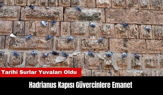 Antalya'daki Hadrianus Kapısı Güvercinlere Emanet