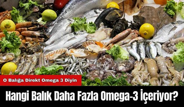 Hangi Balık Daha Fazla Omega-3 İçeriyor?