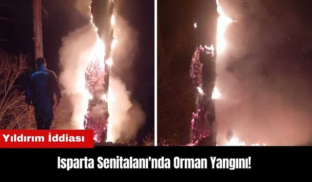 Isparta Senitalanı'nda Orman Yangını! Yıldırım İddiası