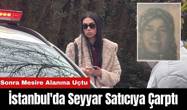 İstanbul'da Seyyar Satıcıya Çarptıktan Sonra Mesire Alanına Uçtu