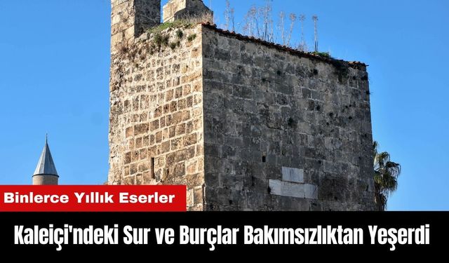 Kaleiçi'ndeki Sur ve Burçlar Bakımsızlıktan Yeşerdi