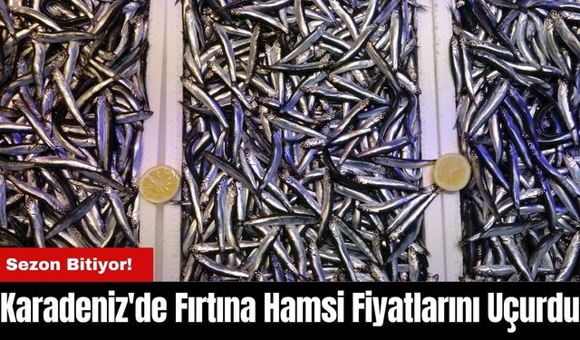 Karadeniz'de Fırtına Hamsi Fiyatlarını Uçurdu