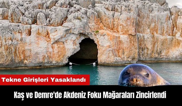 Kaş ve Demre'de Akdeniz Foku Mağaraları Zincirlendi