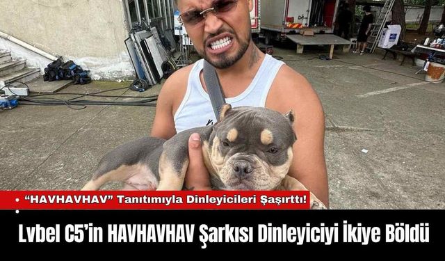 Lvbel C5’in HAVHAVHAV Şarkısı Dinleyiciyi İkiye Böldü