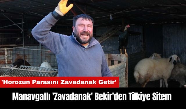 Manavgatlı 'Zavadanak' Bekir'den Horozunu Kapan Tilkiye Sitem!