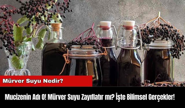 Mucizenin Adı O! Mürver Suyu Zayıflatır mı? İşte Bilimsel Gerçekler!