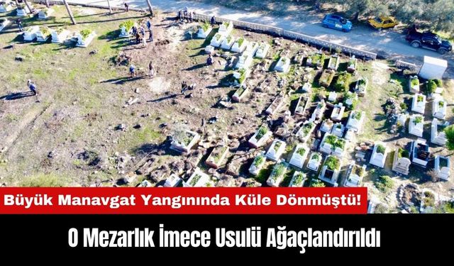 O Mezarlık Büyük Manavgat Yangınında Küle Dönmüştü! İmece Usulü Ağaçlandırıldı