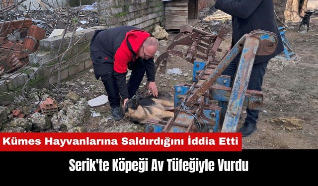 Serik'te Hayvanlarına Saldırdığını İddia Ettiği Köpeği Av Tüfeğiyle Vurdu