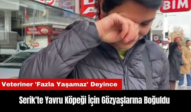 Serik'te Yavru Köpeği İçin Gözyaşlarına Boğuldu