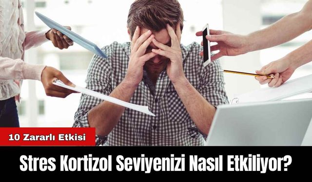 Stres Kortizol Seviyenizi Nasıl Etkiliyor?