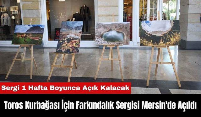 Toros Kurbağası İçin Farkındalık Sergisi Mersin'de Açıldı