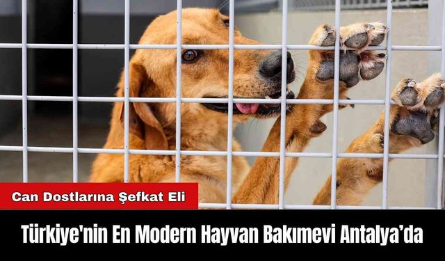 Türkiye'nin En Modern Hayvan Bakımevi Antalya’da