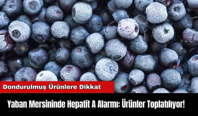 Yaban Mersininde Hepatit A Alarmı: Ürünler Toplatılıyor!