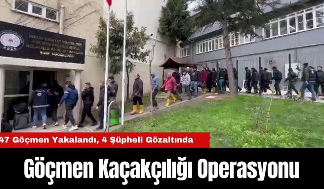 Göçmen Kaçakçılığı Operasyonunda 47 Yakalama