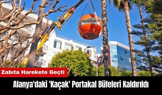 Alanya'daki 'Kaçak' Portakal Büfeleri Kaldırıldı