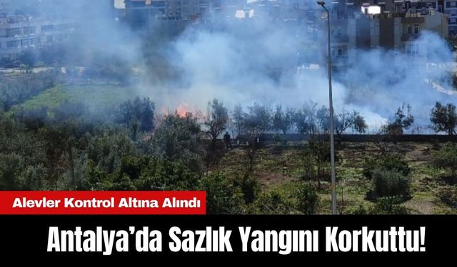 Antalya'da Sazlık Yangını Korkuttu! Alevler Kontrol Altına Alındı