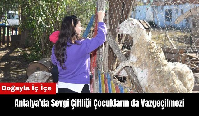 Antalya'da Sevgi Çiftliği Çocukların da Vazgeçilmezi