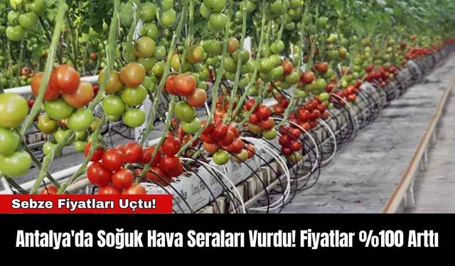 Antalya'da Soğuk Hava Seraları Vurdu! Fiyatlar %100 Arttı