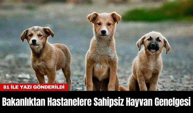 Bakanlıktan Hastanelere Sahipsiz Hayvan Genelgesi