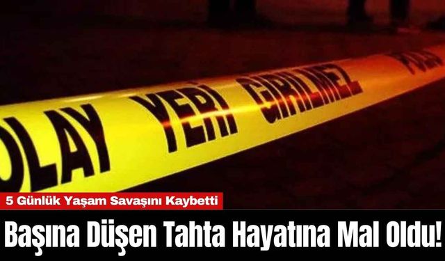 Başına Düşen Tahta Hayatına Mal Oldu!