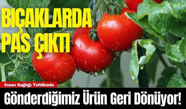 Gönderdiğimiz Ürün Geri Dönüyor! İnsan Sağlığı Tehlikede