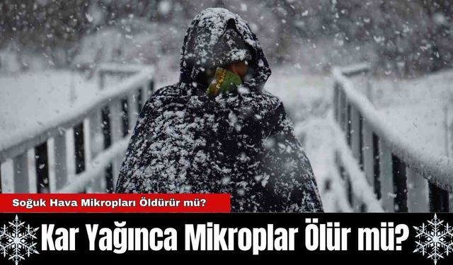 Kar Yağınca Mikroplar Ölür mü?