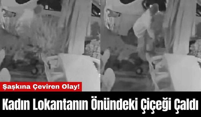 Şaşkına Çeviren Olay! Kadın Lokantanın Önündeki Çiçeği Çaldı