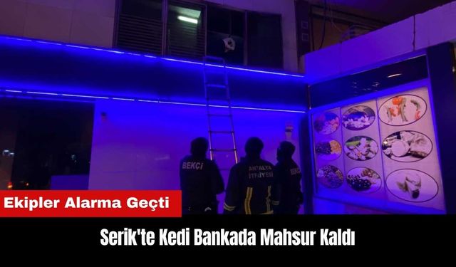 Serik'te Kedi Bankada Mahsur Kaldı! Ekipler Alarma Geçti