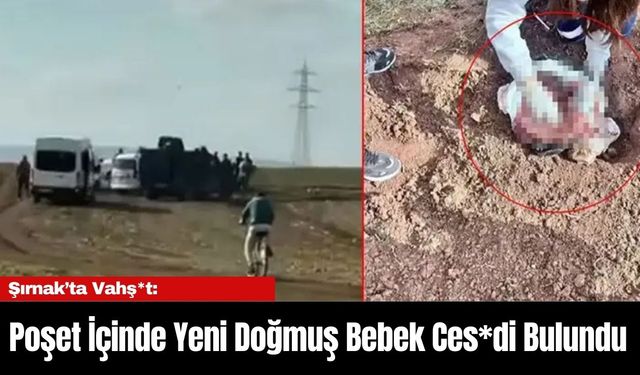 Şırnak’ta Vahş*t: Poşet İçinde Yeni Doğmuş Bebek Ces*di Bulundu