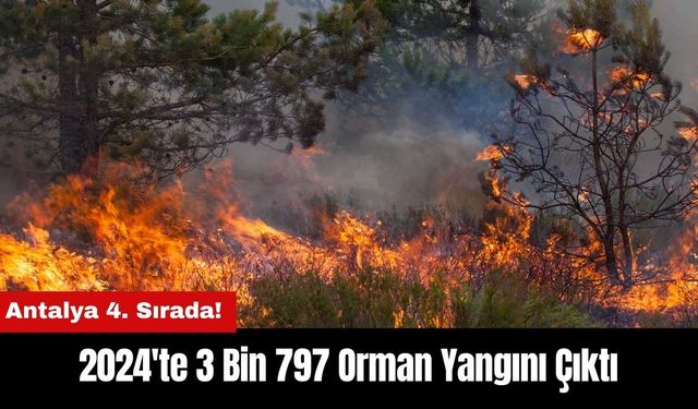 2024'te 3 Bin 797 Orman Yangını Çıktı! Antalya 4. Sırada