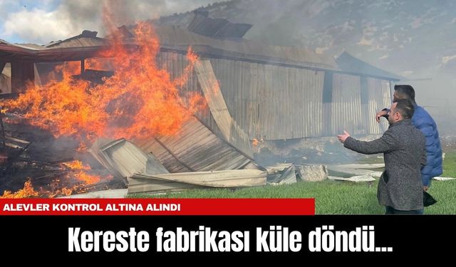 Burdur'da Kereste fabrikası küle döndü...Alevler kontrol altına alındı