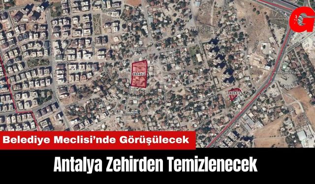 Antalya Zehirden Temizlenecek