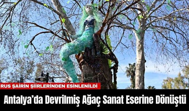 Antalya’da Devrilmiş Ağaç Sanat Eserine Dönüştü