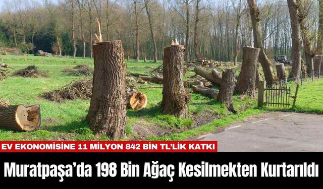 Muratpaşa’da 198 Bin Ağaç Kesilmekten Kurtarıldı